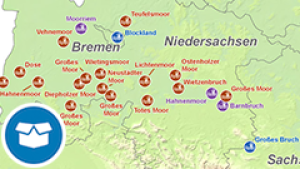 Moorlandschaften_detail